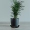 Plant Saucer 14 16 18 20 22 Inch, 4 Pack Heavy Duty Large Plant Tray for Planter Pot, Plastic Flower Pot Saucers Drip Water Trays for Indoors and Outdoors (14 Inch)